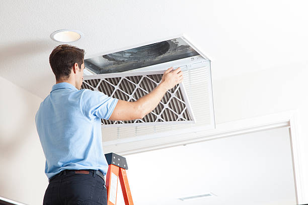 Best Air Filters and Purifiers in Bayshore, NC